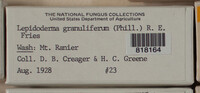 Image Associated With the Occurence